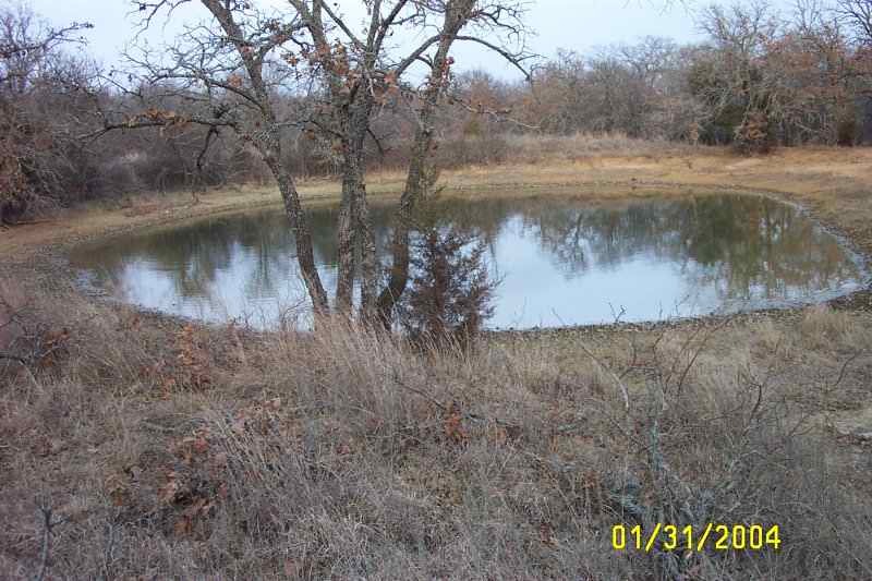 Front pond with trees