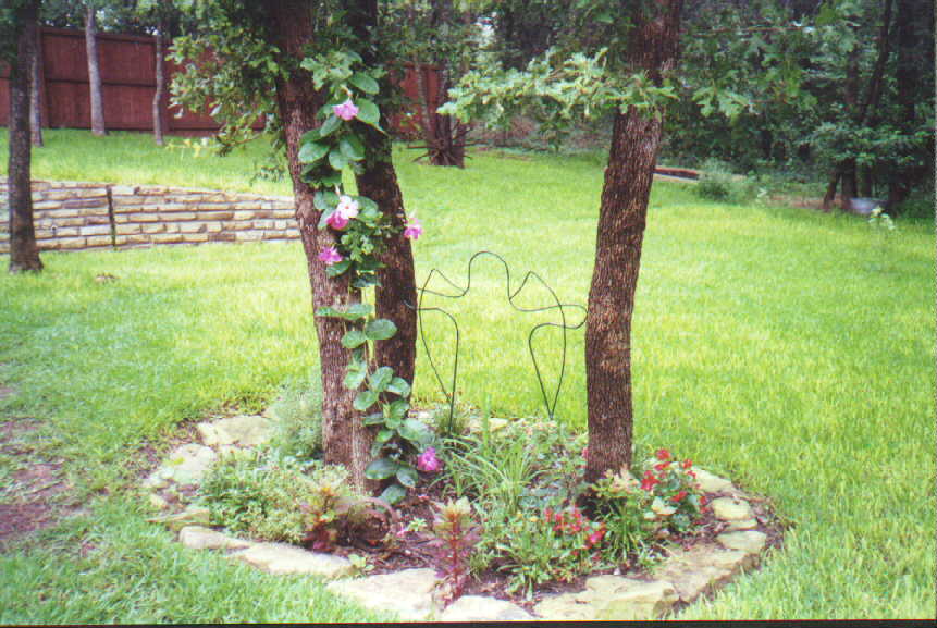 The yard before the pond