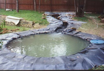 Main pond filling with water