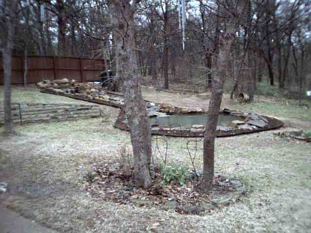 The finished pond among trees