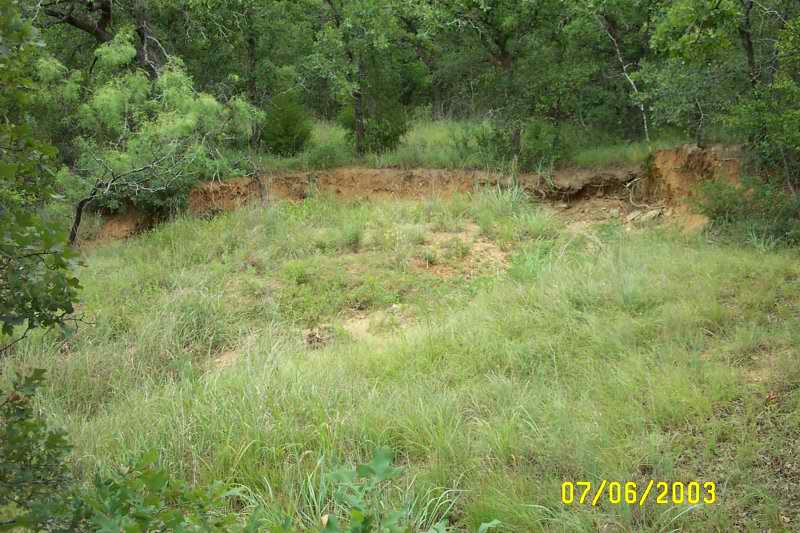 Grassy site for the new pond