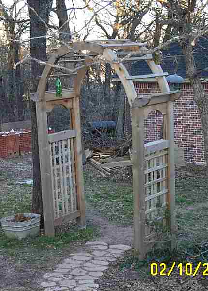 Cedar arbor